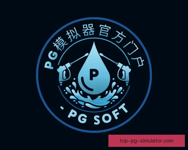 发现pg模拟器